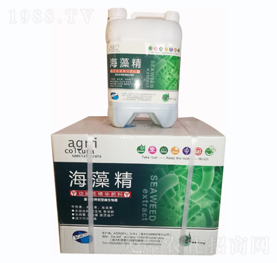 ���徫-�G�؈@