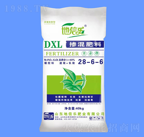 �������28-6-6-���Ř�