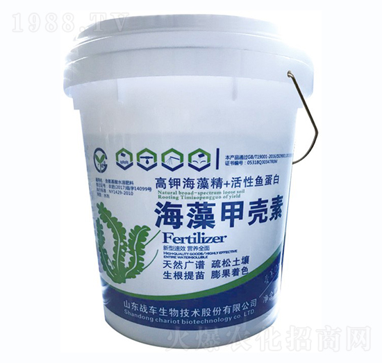 ����ך���-��(zh��n)܇