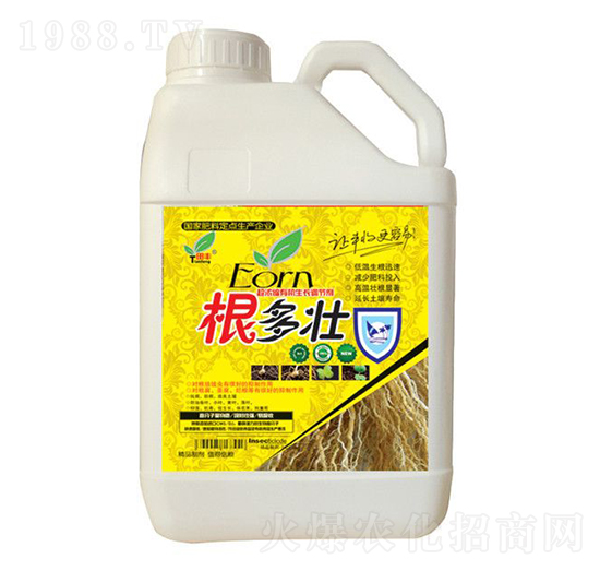 5kg������-���S����