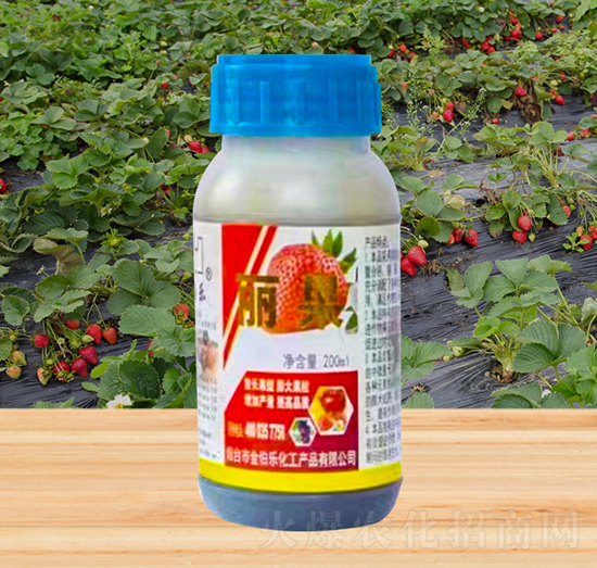 ����-�𲮘�(l��)