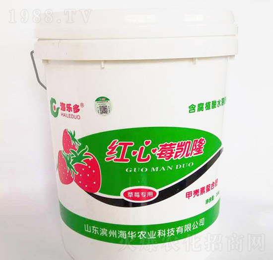 �t��ݮ�P�����_ʩ�ͣ�-���A�r(n��ng)�I(y��)