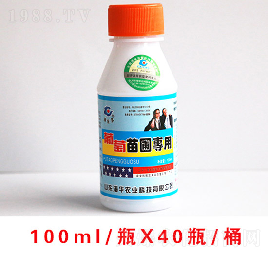 �������Ԍ���100ml-���A�r(n��ng)�I(y��)