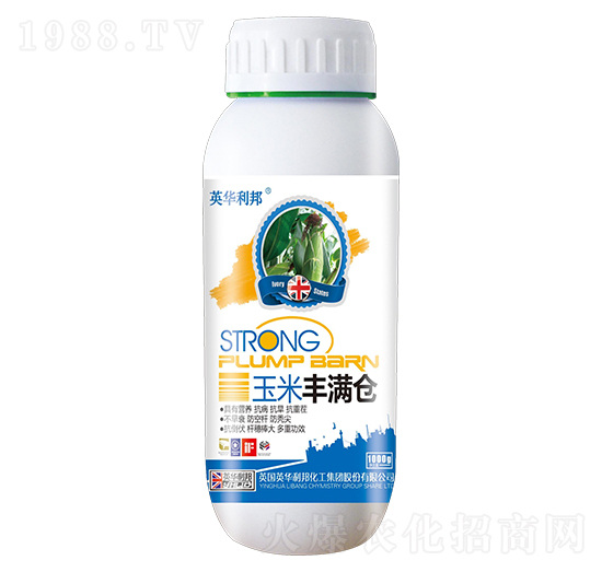 �����S�M�}(c��ng)-Ӣ�A����-��˴ֲ��