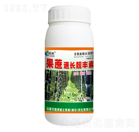 �������L�n�S��-�G��-��ʿ�R��