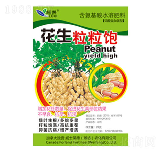 ���������-�G��-��ʿ�R��