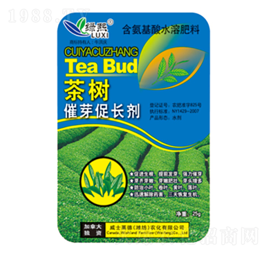 ���(sh��)��ѿ���L(zh��ng)��-�G��-��ʿ�R��