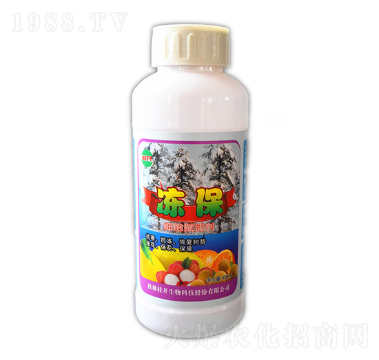 500ml����-���_����