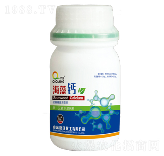 �����}-���ϻ���