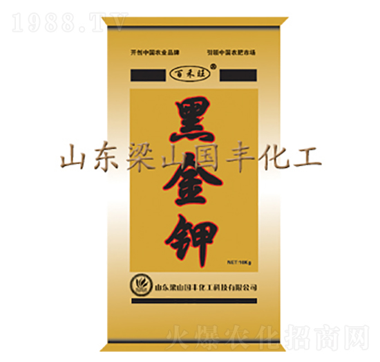 �ڽ��-���S�ʘI(y��)