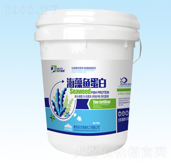 �����~����-�|��Ӣ�Z