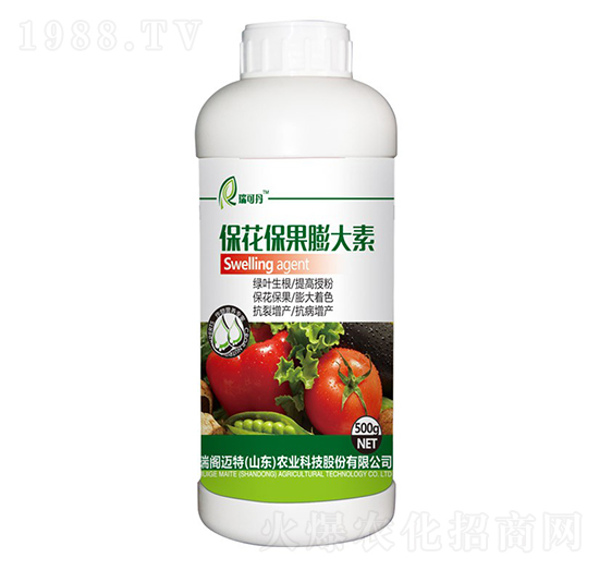 �������������-��ɵ�-���w�~��