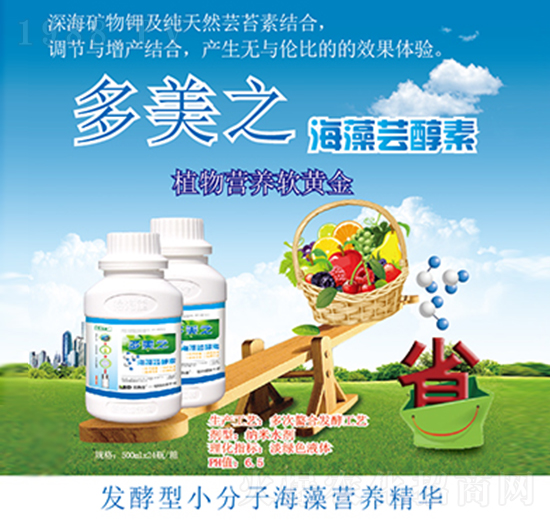 �����|����-����֮-������