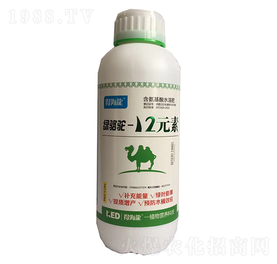 �G��-12Ԫ���~���-������