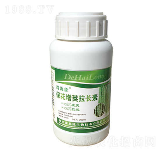 �������v���L��-�ú���-������