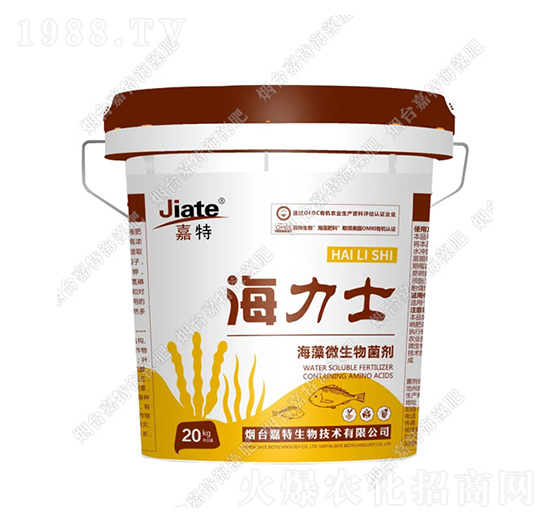 ����_ʩ��-����ʿ-��������