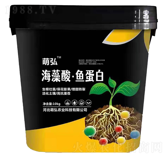 �����ᡤ�~(y��)����-�Ⱥ��r(n��ng)�I(y��)