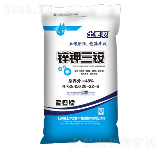 �\����@С����20-22-6-����S