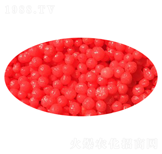 ��֬��Ĥ���أ��t��-����S