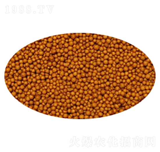 �ߝ�ȿ�ጏͺϷ�-����