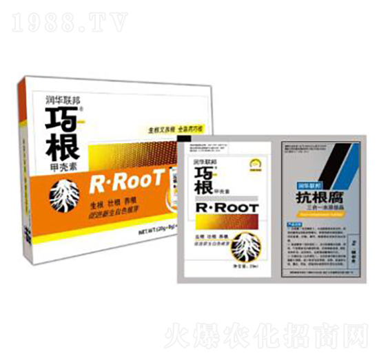 �ɸ�+������-���A(li��n)��