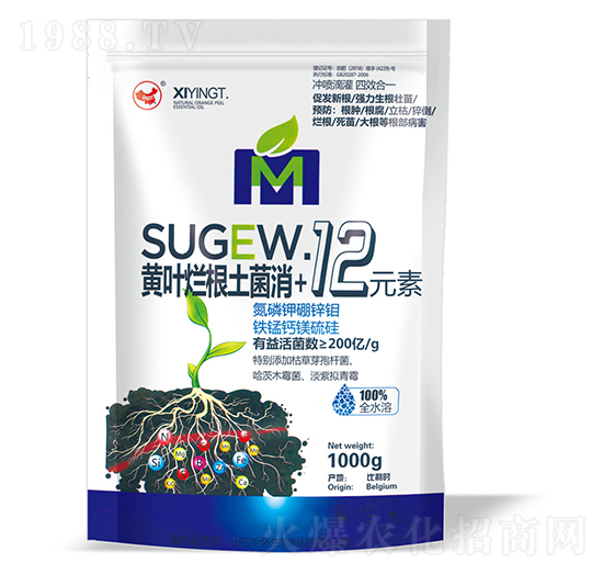 �S�~����������+12Ԫ��-ɽ�|�������