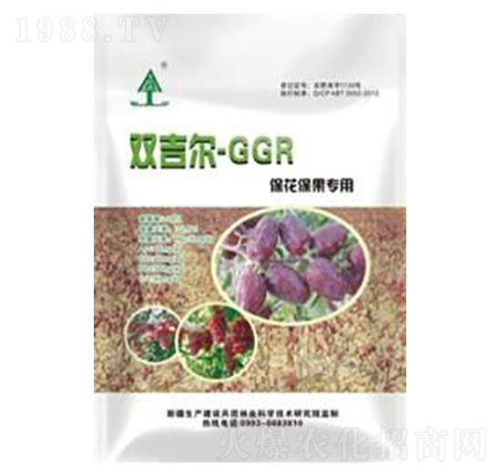 GGR����������-���ȵ�