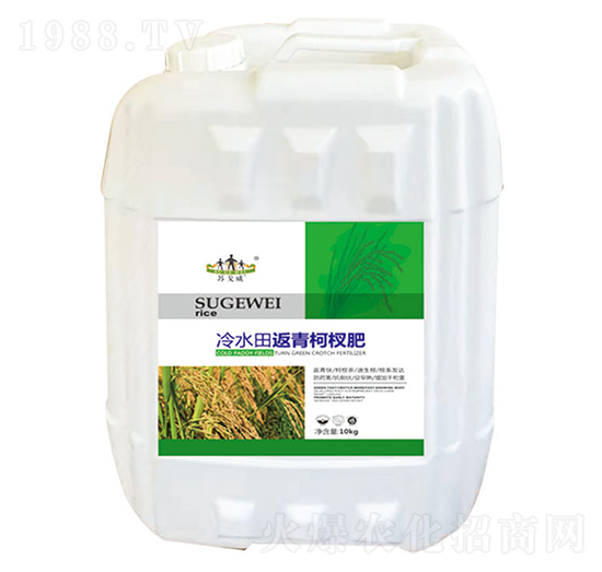 ��ˮ�ﷵ���辷�-ɽ�|�������