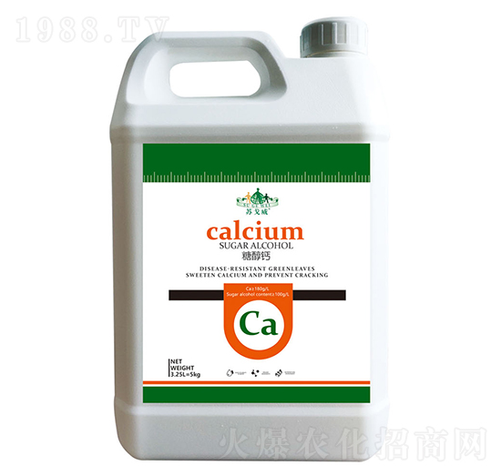 �Ǵ��}-ɽ�|�������