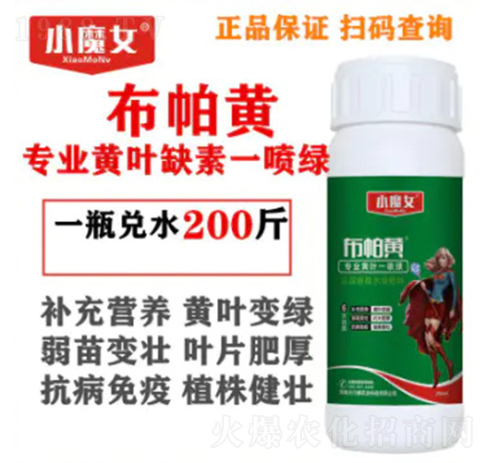 ���I(y��)�S�~ȱ��һ���G-�����S-СħŮ-���н�