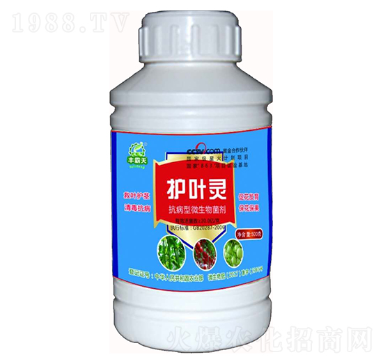 ������΢�������-�o(h��)�~�`-������