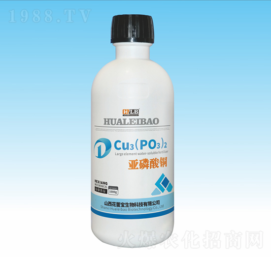 �������~-���ٌ�����