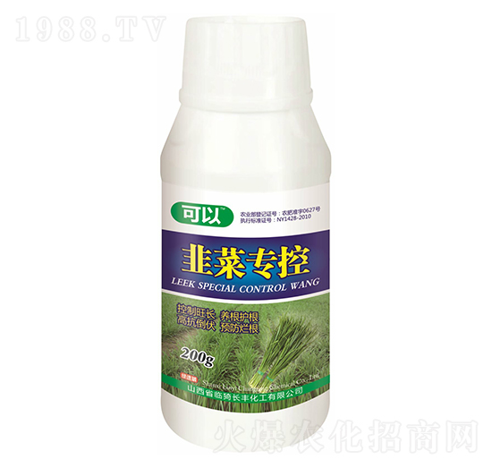 �²ˌ����~���-����-�L�S����