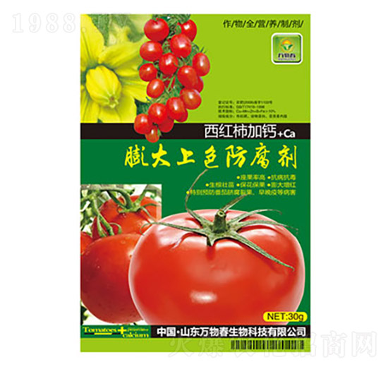 ���t�����}�����ɫ������-�f�ﴺ