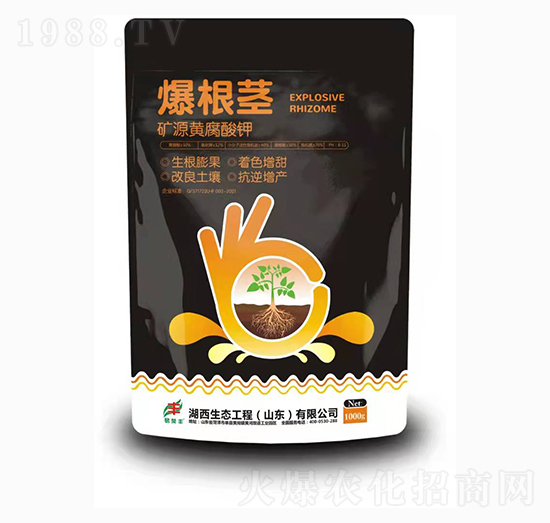 �VԴ�S�����-�����o-�������B(t��i)