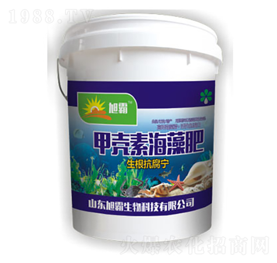 �ך��غ����-�������