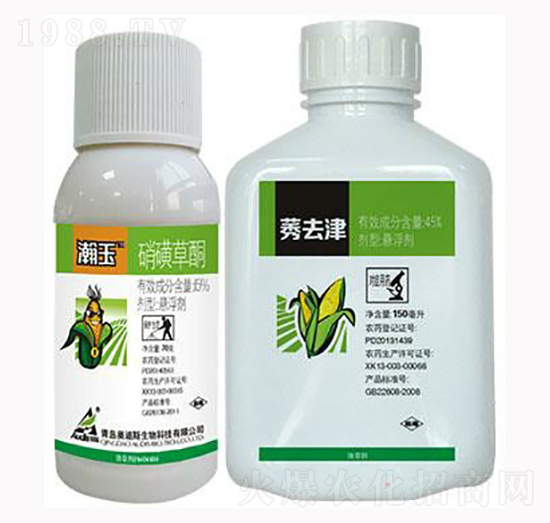 6%���ǲ�ͪ-���-������