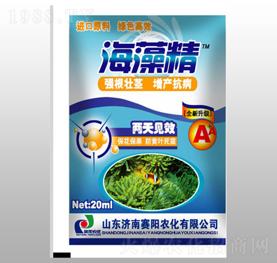 ���徫-ِ��r��