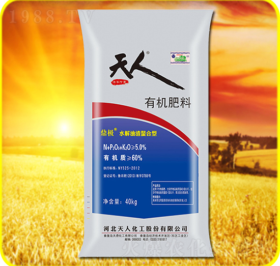 �ЙC����-���˻���