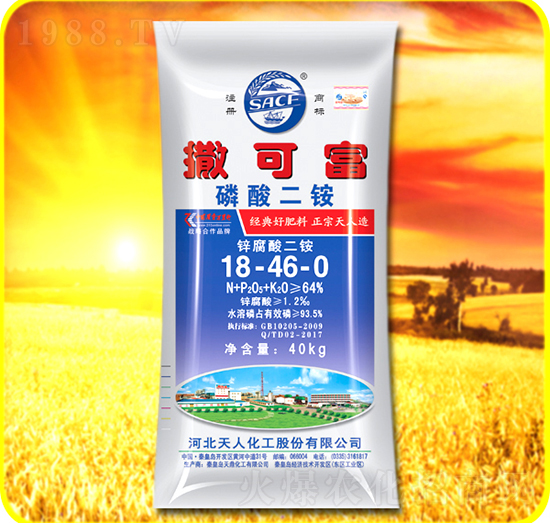 40kg������@18-46-0-���ɸ�-���˻���