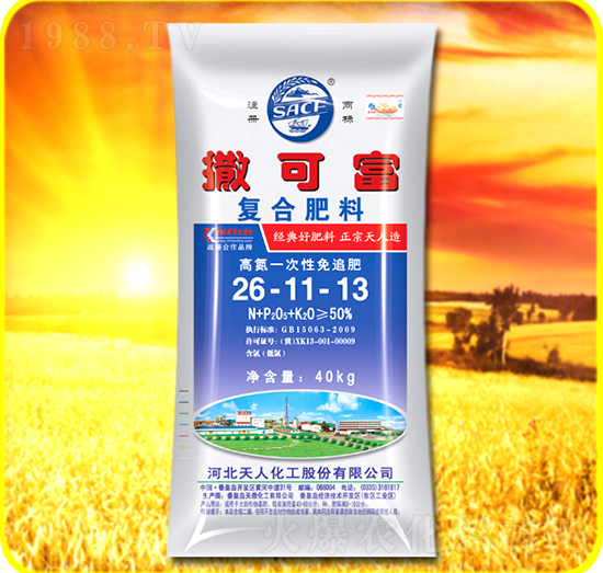 ��(f��)�Ϸ���26-11-13-���ɸ�-���˻���