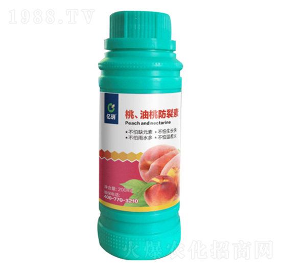 �������ҷ�����-�R������