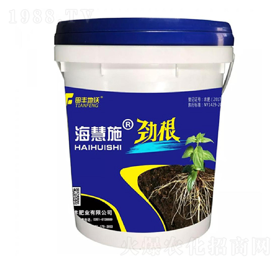 �Ÿ�-����ʩ-���S����