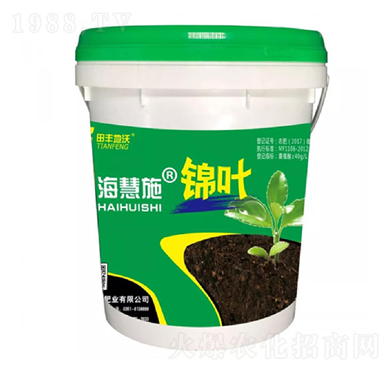 �\�~-����ʩ-���S����