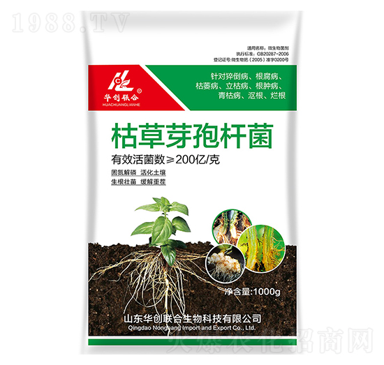 �ݲ�ѿ�ߗU��-�A��(chu��ng)(li��n)��