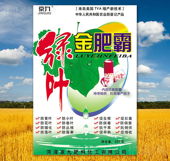 �G�~��ʰ�-����