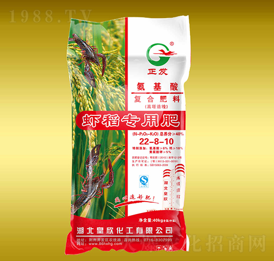 �r�����Ï�(f��)�Ϸ���20-8-10-����