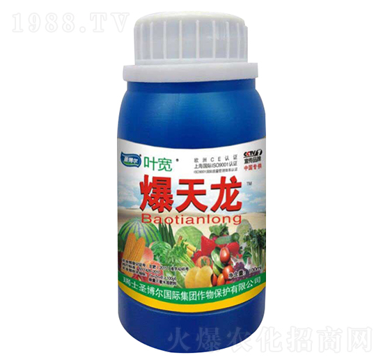 ������-�~��-ʥ��������