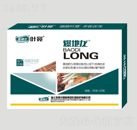 ��������ñ�����-�~��-ʥ��������