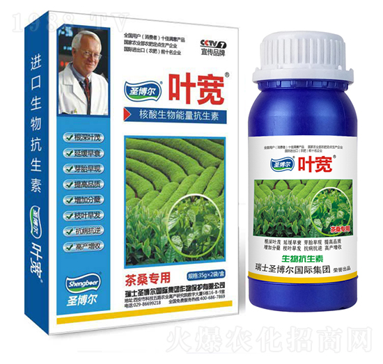 ��ɣ�����~���-��������ø�T����-�~��-ʥ��������